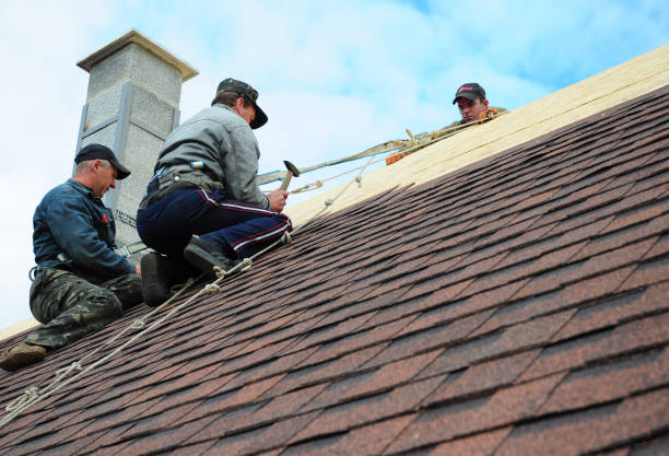 Best Gutter Installation and Roofing  in Winfield, WV